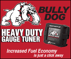 BullyDog_300x250.